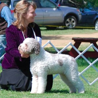 2013-08-12 Orcia_Show New Jersey