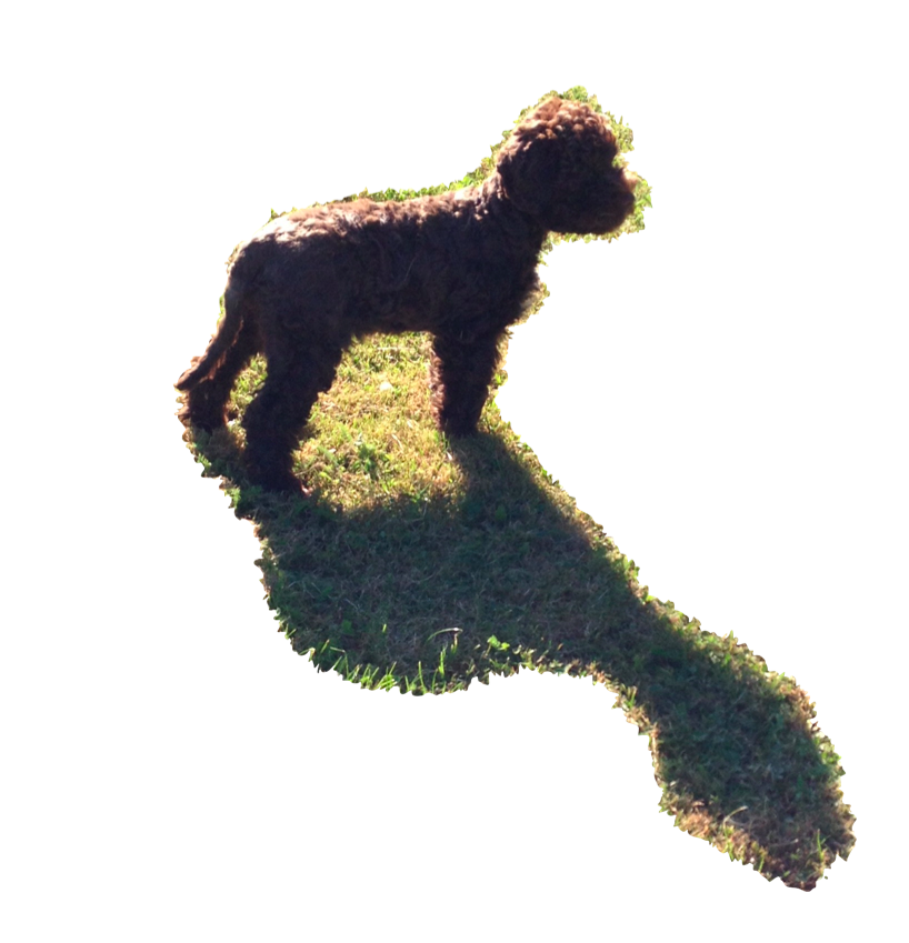 2016-08-18 Ariela_Schatten