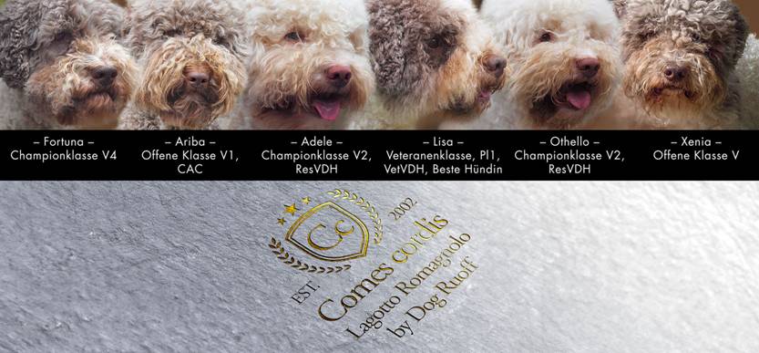 2016-09-24 Clubschau-Collage