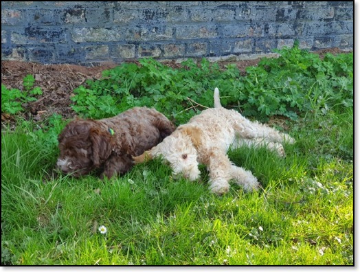 5716efc6-007a-49a1-b542-531f5d4e8721