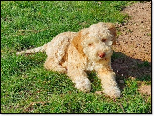 70e648df-dbc6-4786-b123-a7e49c3bbb16