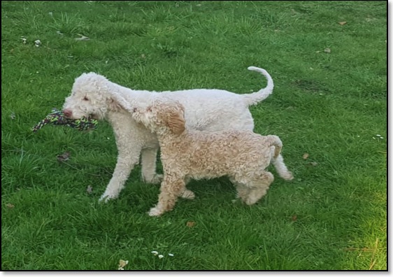 b4aded7f-0c4e-4a56-8694-cc411d444a35